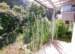千葉県 市川市、松戸市の雑草対策・造園・外構・エクステリア・剪定・お庭のリフォームはユアサ園芸